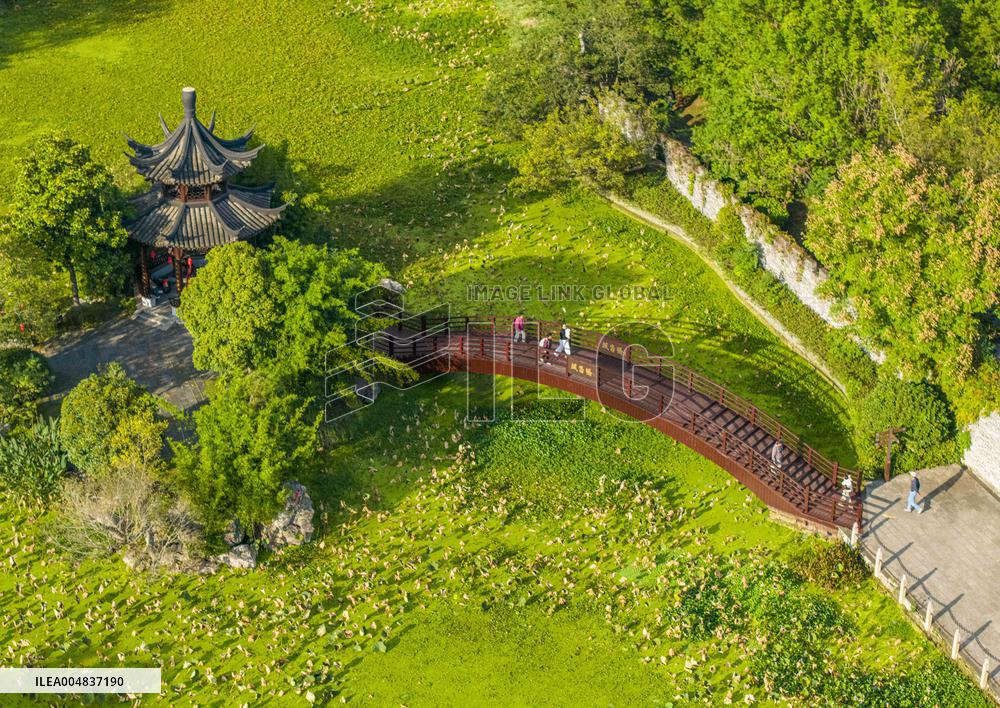 Autumn Scenery Season Illustrations - China