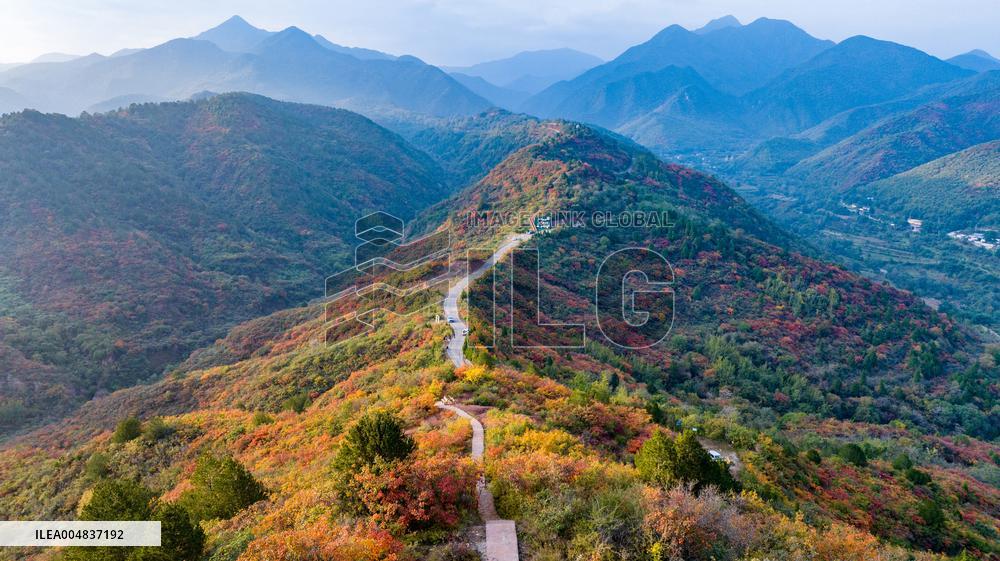 Autumn Scenery Season Illustrations - China