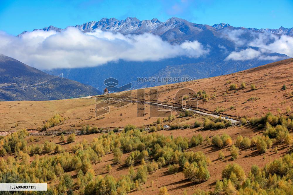 Autumn Scenery Season Illustrations - China