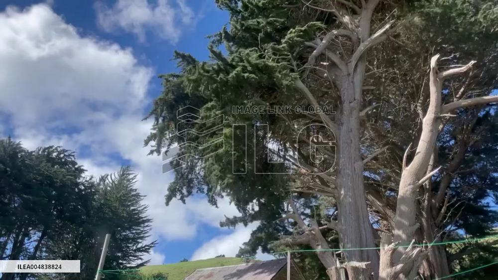 New Zealand: Rare Red Warnings Issued as Powerful Wind Storm Rips Through Country