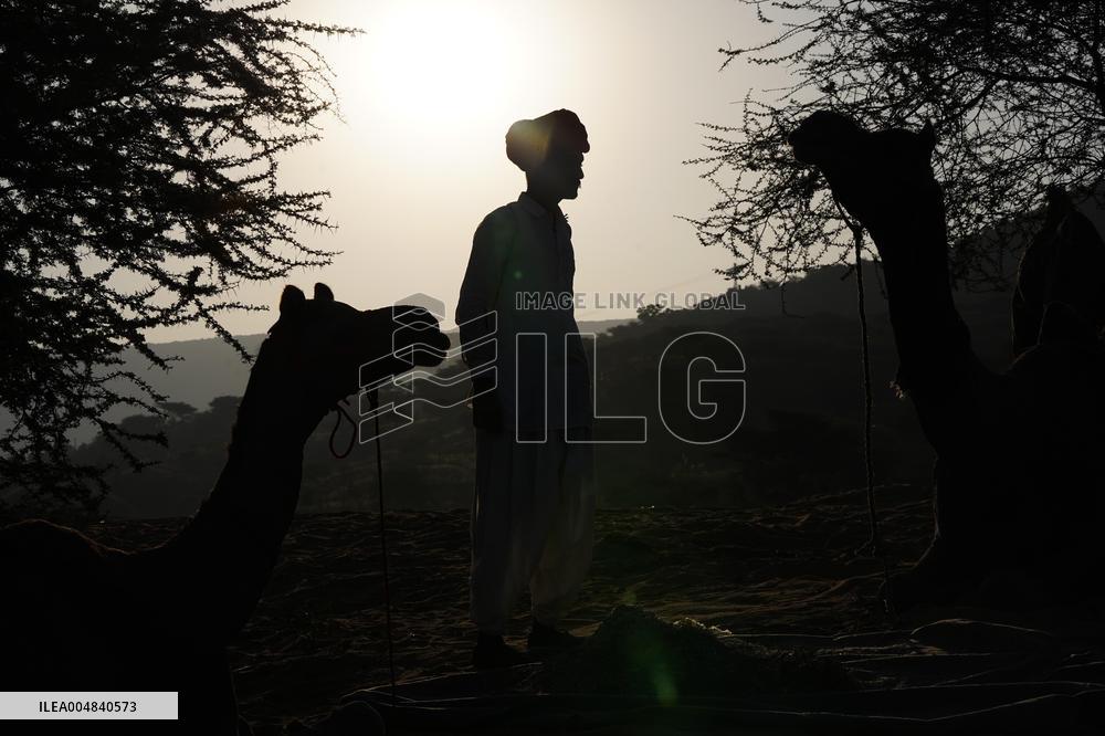 World's Largest Camel Fair - India