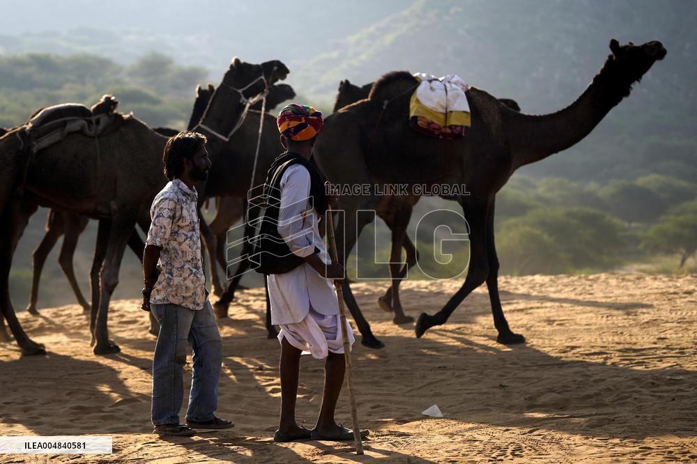 World's Largest Camel Fair - India