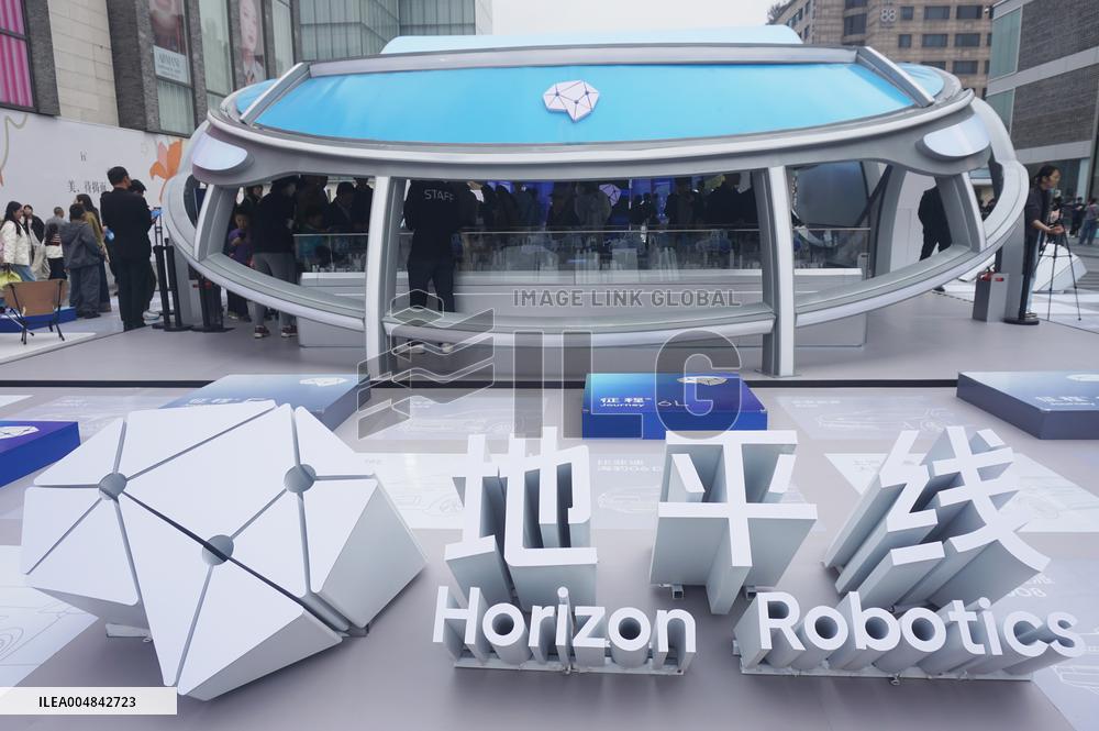 Horizon Robotics Automotive-grade Chip