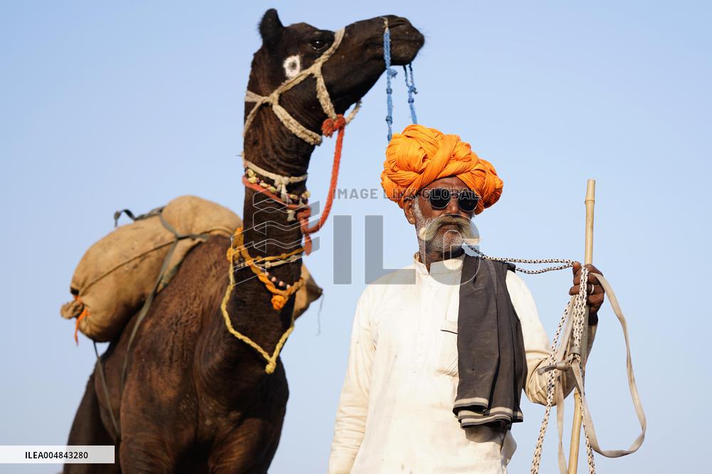 The Coolest Camel Herder of The Annual Camel Fair - Pushkar