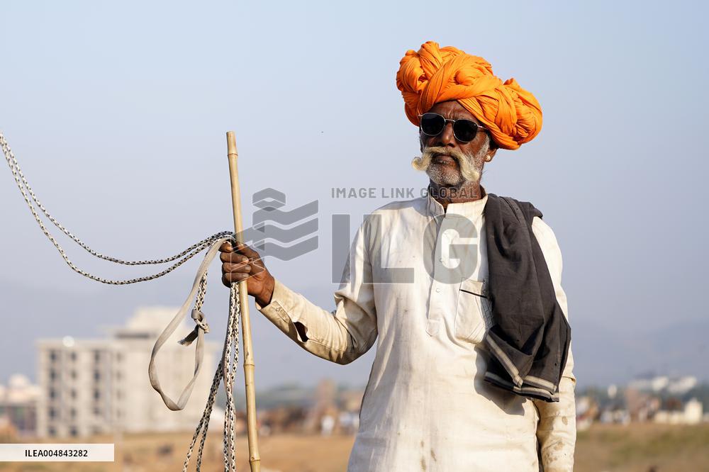 The Coolest Camel Herder of The Annual Camel Fair - Pushkar