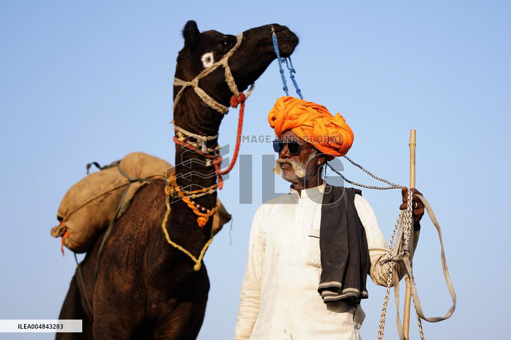 The Coolest Camel Herder of The Annual Camel Fair - Pushkar