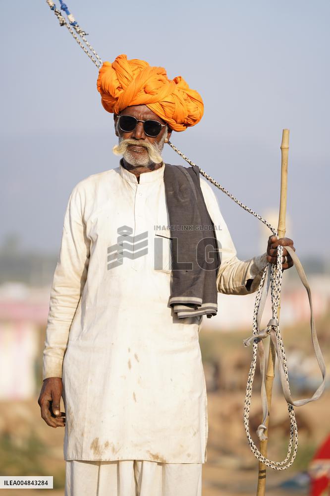 The Coolest Camel Herder of The Annual Camel Fair - Pushkar