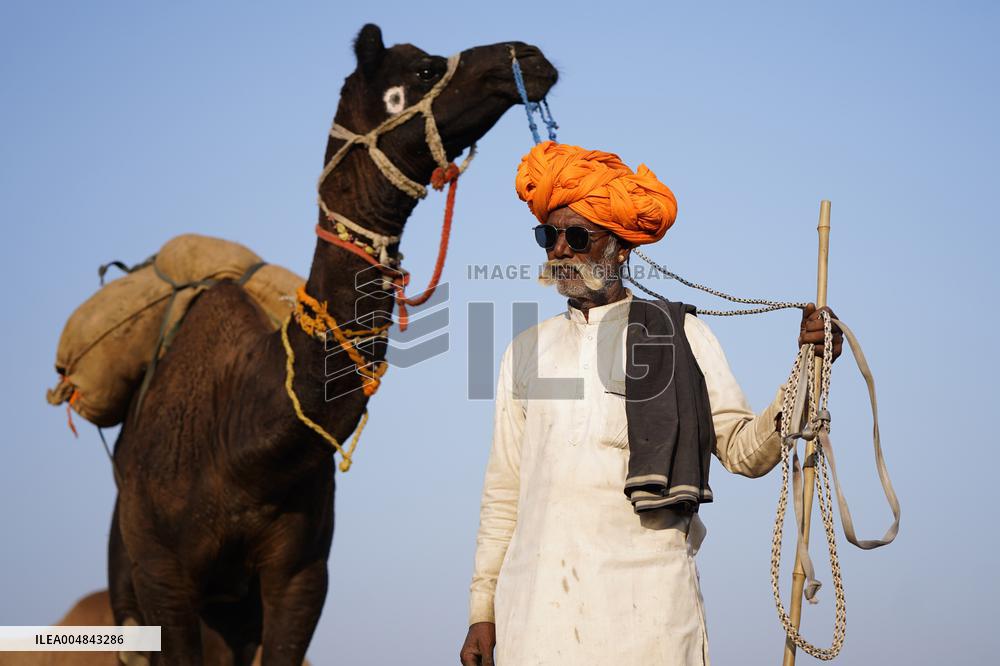 The Coolest Camel Herder of The Annual Camel Fair - Pushkar