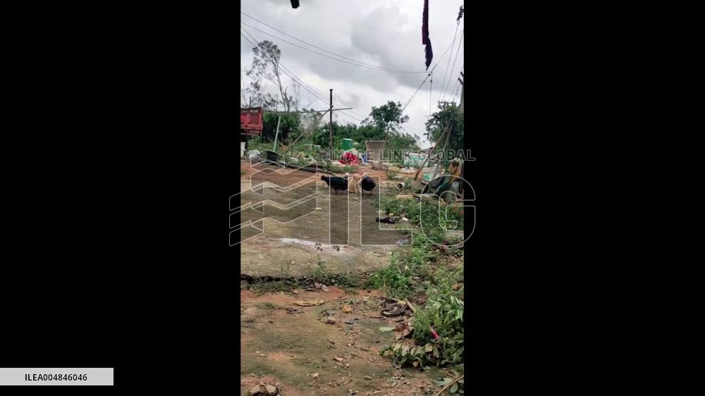 China: Two Ducks Give Puppy Beak “Massage” in Zhanjiang, Guangdong