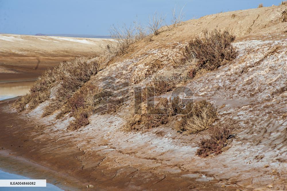 Drying Wetland Fuels Dust Storm Crisis - Iran