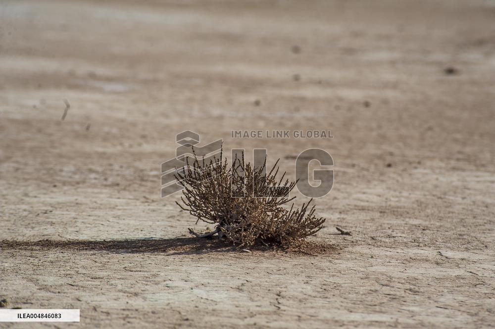 Drying Wetland Fuels Dust Storm Crisis - Iran