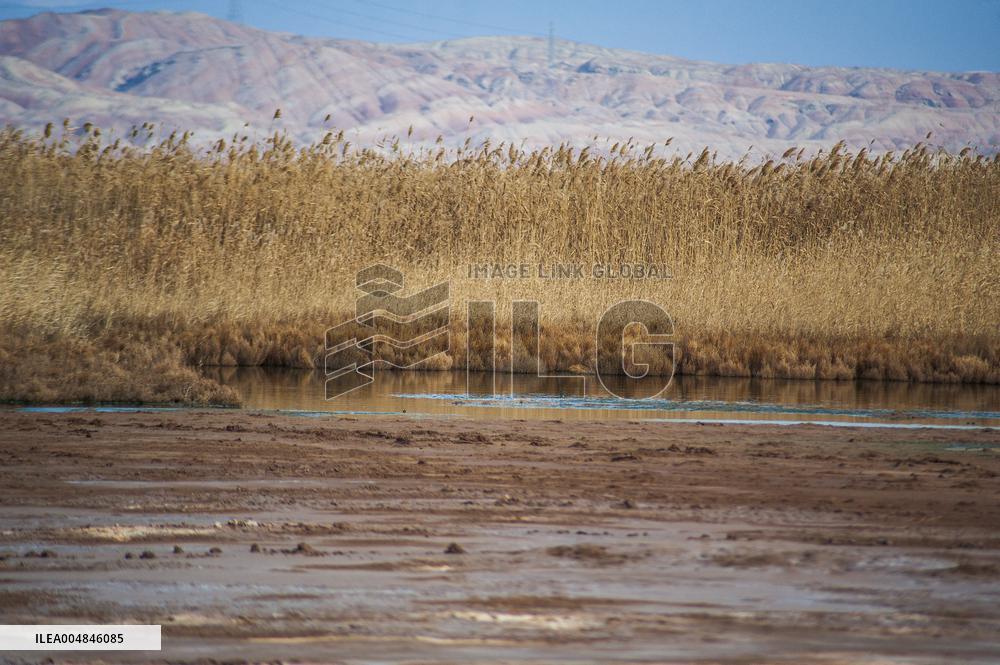 Drying Wetland Fuels Dust Storm Crisis - Iran