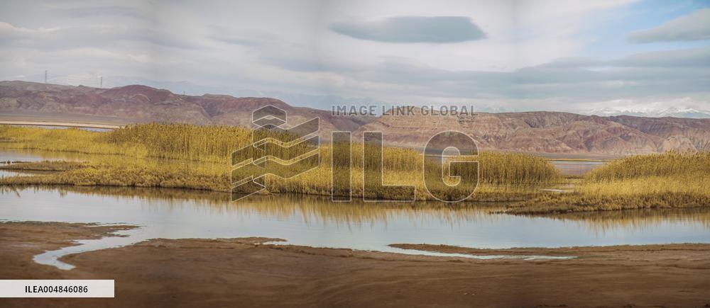 Drying Wetland Fuels Dust Storm Crisis - Iran