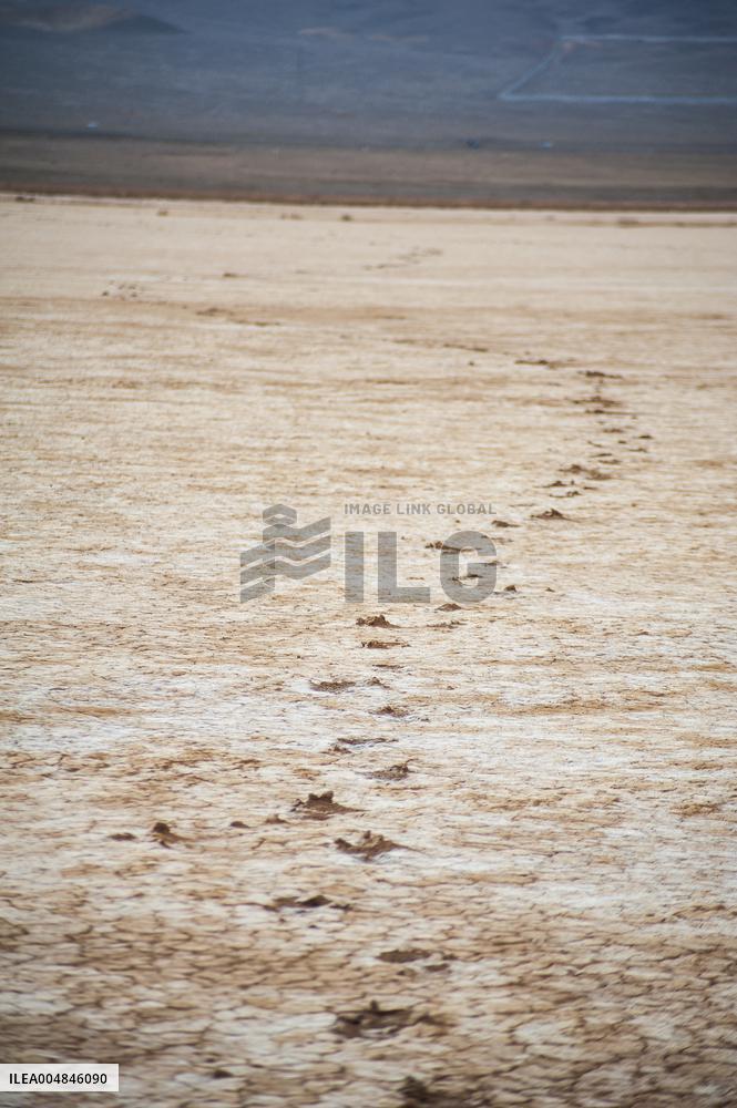 Drying Wetland Fuels Dust Storm Crisis - Iran