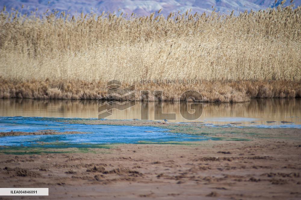 Drying Wetland Fuels Dust Storm Crisis - Iran