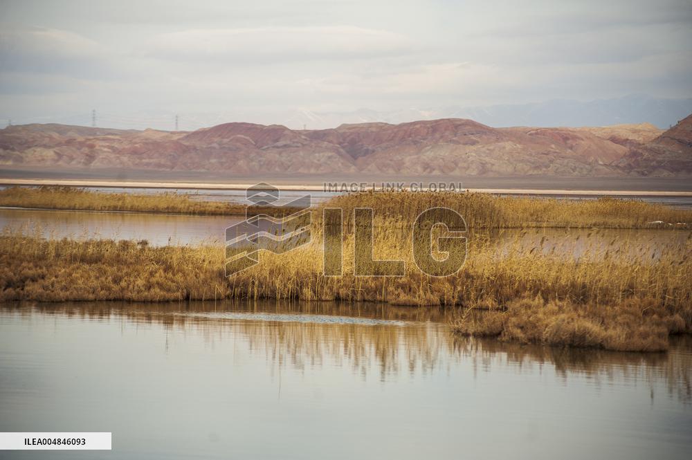 Drying Wetland Fuels Dust Storm Crisis - Iran