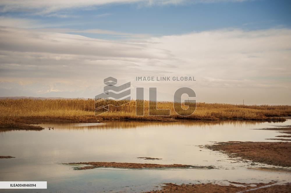 Drying Wetland Fuels Dust Storm Crisis - Iran
