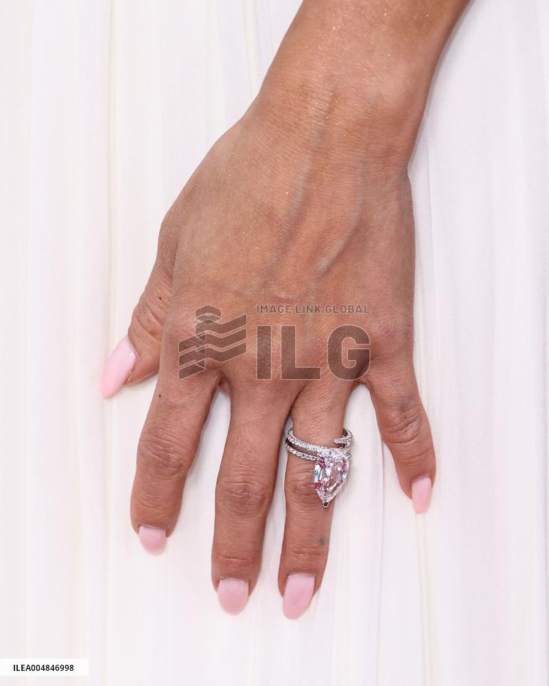 AFI Fest Song Sung Blue Premiere - Hollywood