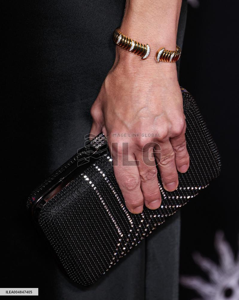 AFI Fest Song Sung Blue Premiere - Hollywood