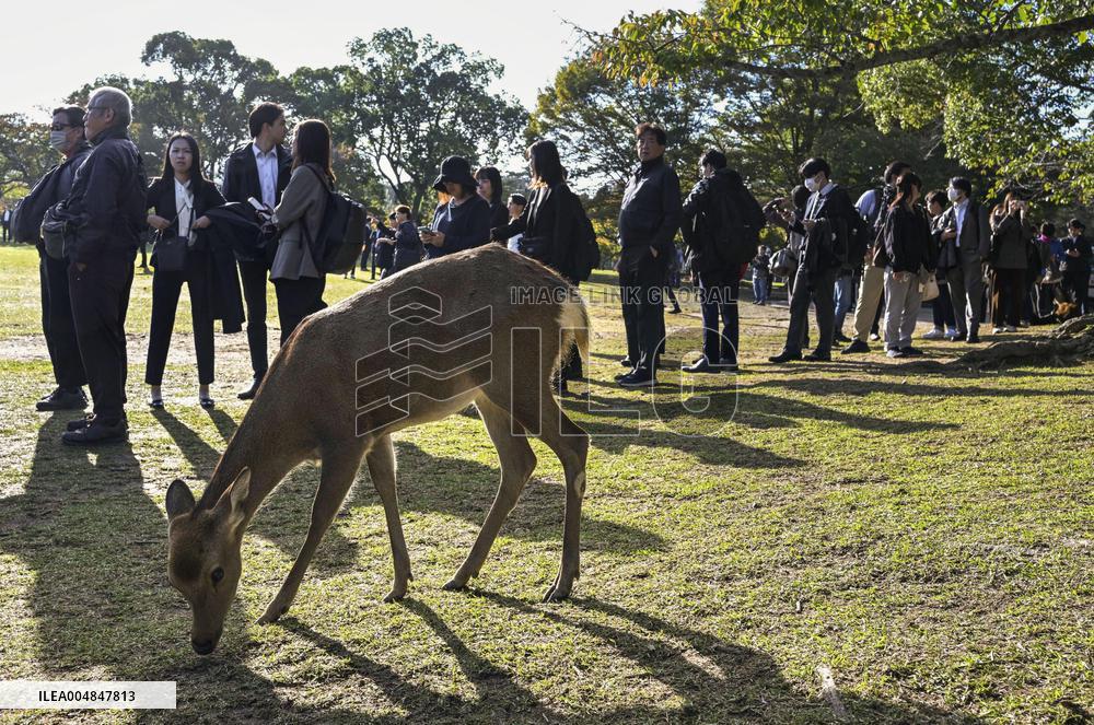 Trial of shooter of ex-Japan PM Abe