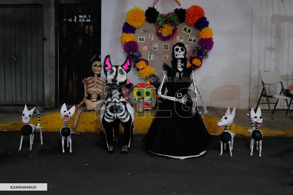 Cardboard Skulls Decorate Tlahuac Streets - Mexico City