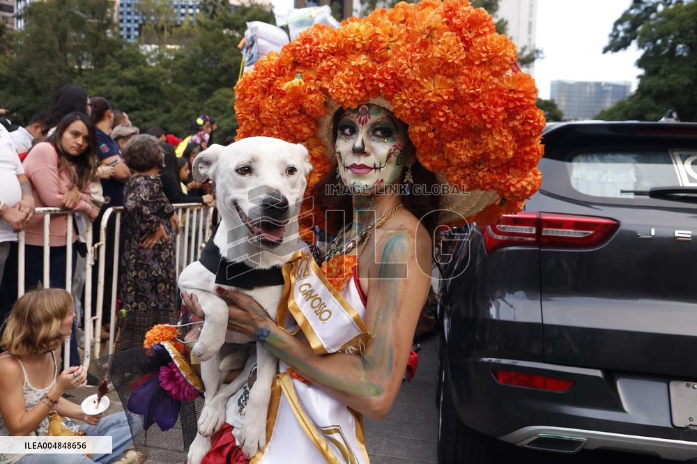 Mega Procession of the Catrinas for Day of the Dead - Mexico City