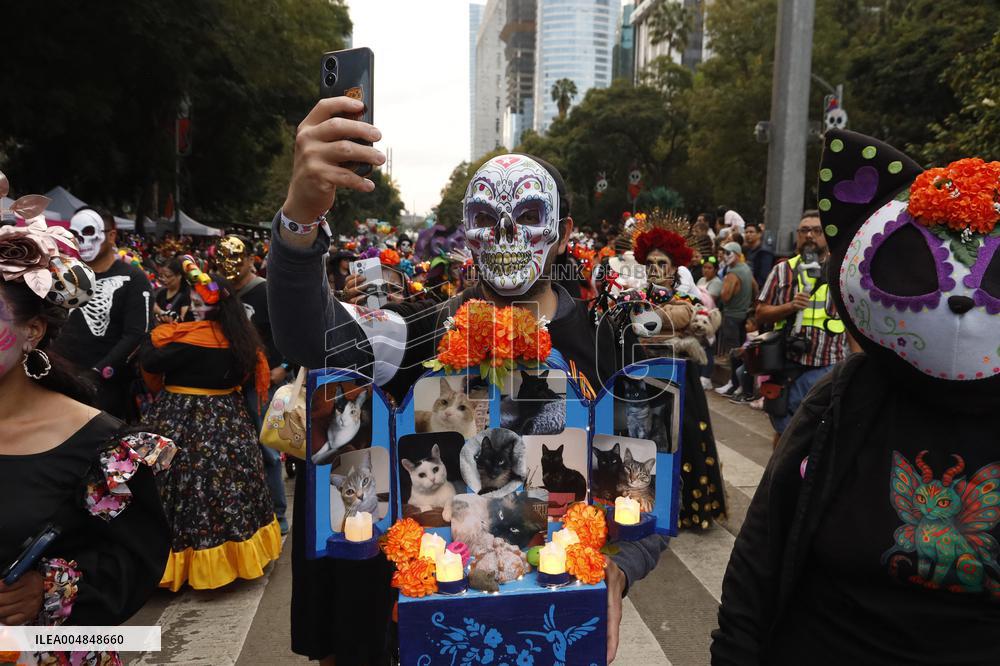 Mega Procession of the Catrinas for Day of the Dead - Mexico City
