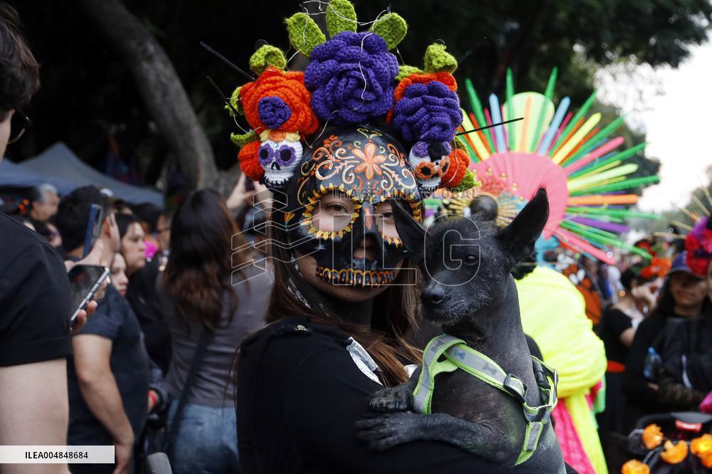 Mega Procession of the Catrinas for Day of the Dead - Mexico City