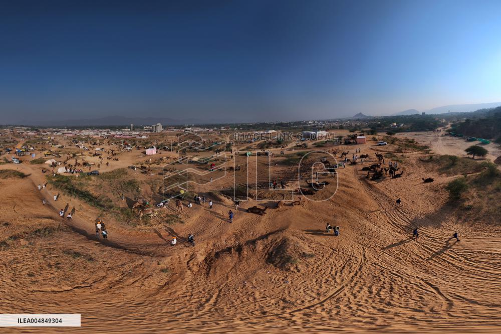 Camels Gather For Annual Fair In Pushkar - India
