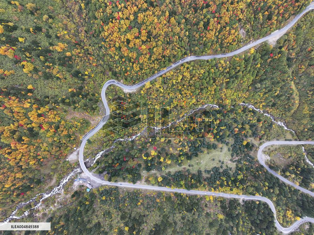 Autumn Scenery Captured In Nyingchi - China