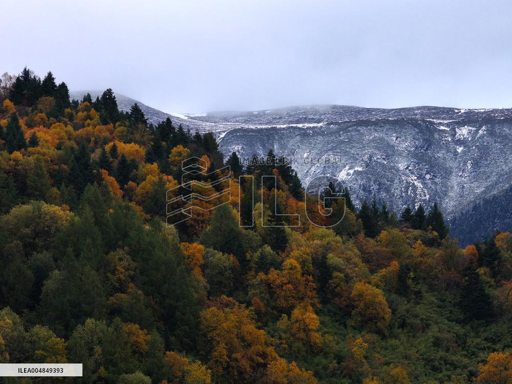 Autumn Scenery Captured In Nyingchi - China