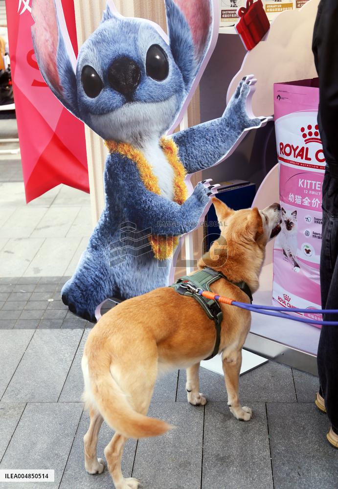 Tmall Super Surprise