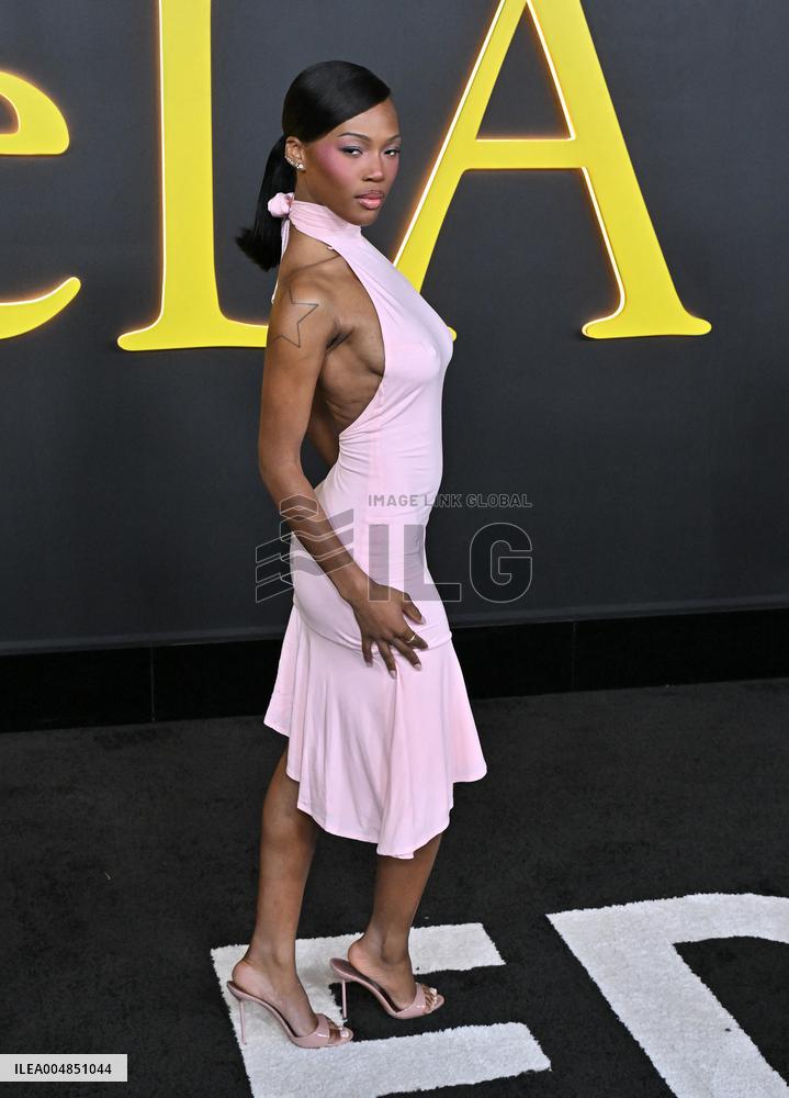 HBO’s ‘I Love LA’ Premiere