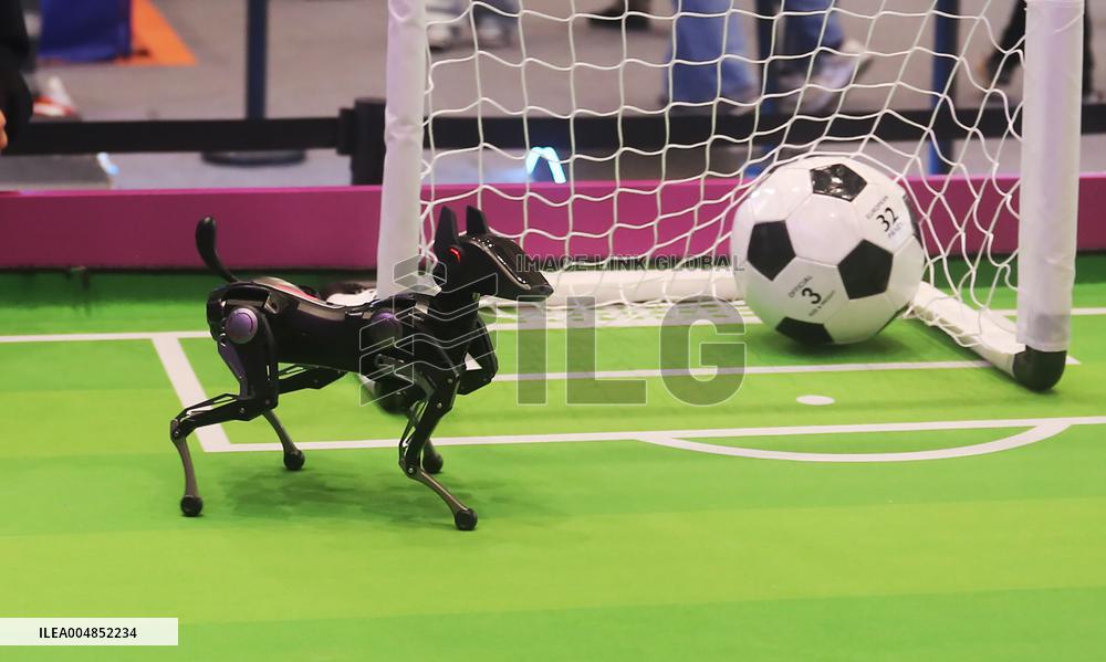 Hengbot Robot Dog Sirius