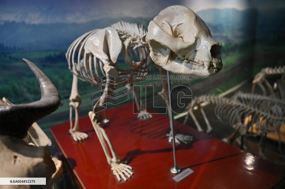 Exposition Park Opens at Northwest A&F University - Shaanxi