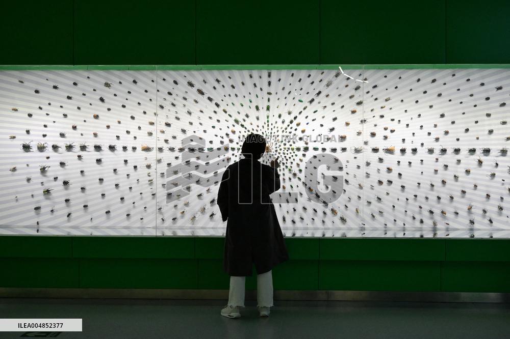 Exposition Park Opens at Northwest A&F University - Shaanxi