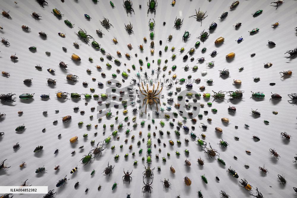 Exposition Park Opens at Northwest A&F University - Shaanxi