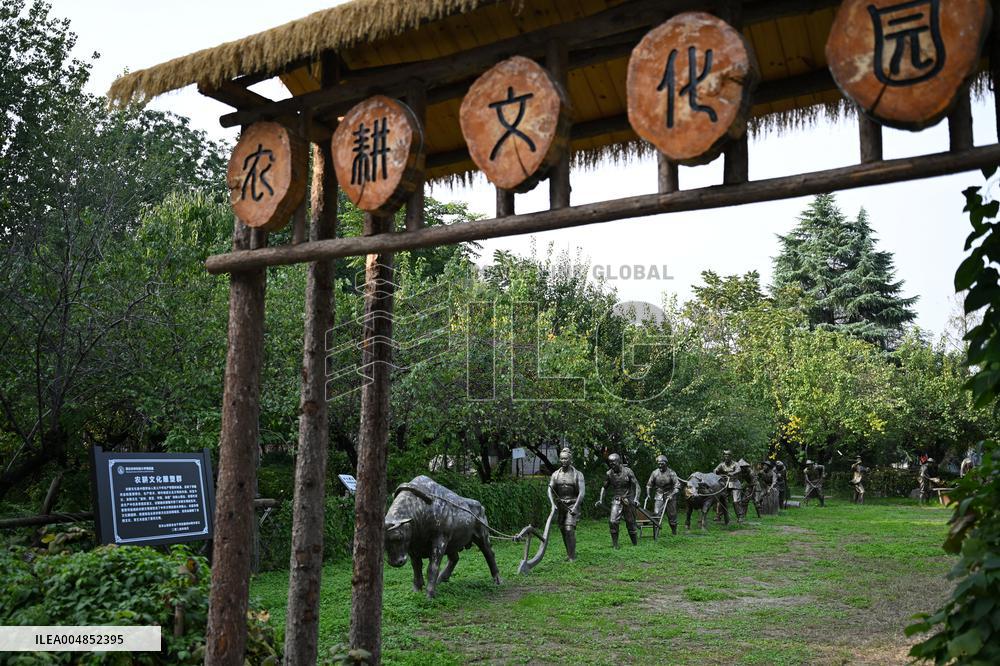 Exposition Park Opens at Northwest A&F University - Shaanxi