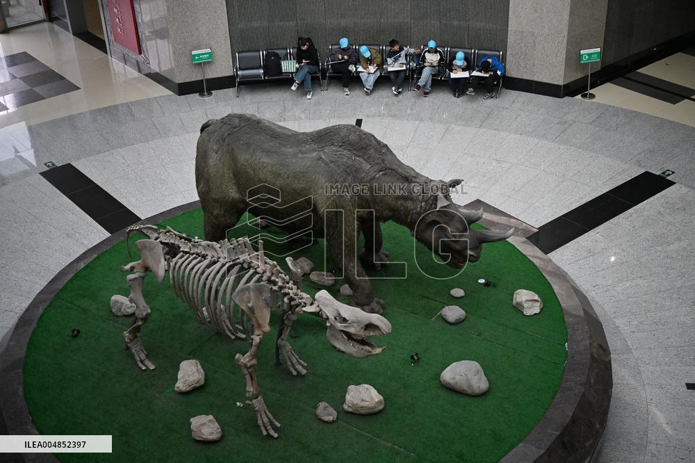 Exposition Park Opens at Northwest A&F University - Shaanxi