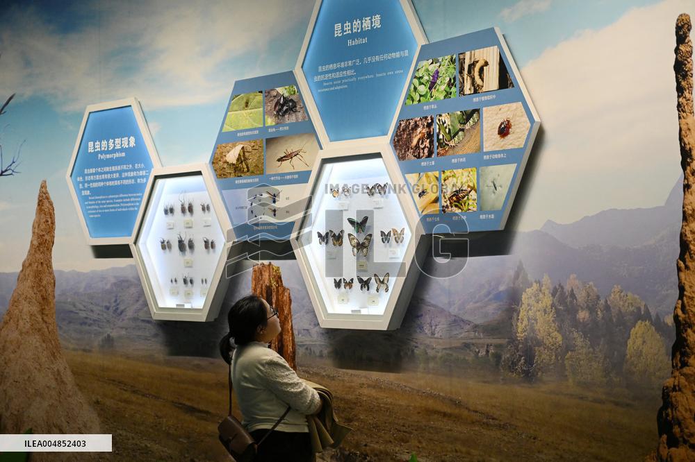 Exposition Park Opens at Northwest A&F University - Shaanxi