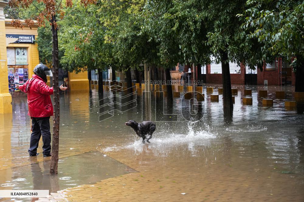 Heavy Rain and Wind in Andalusia - Spain