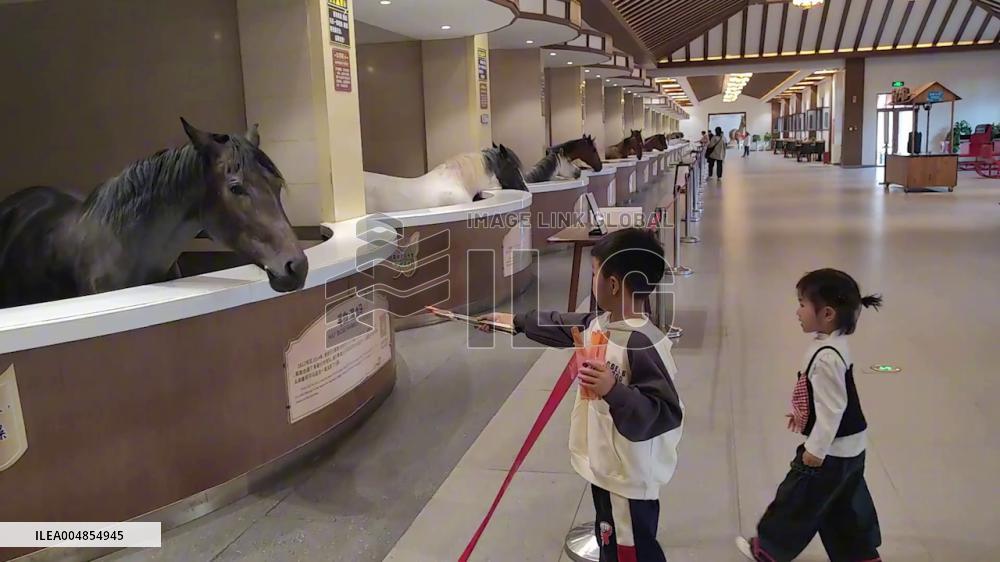 China: Siblings Bow to “Polite” Horse After Feeding It Carrot in Hebei