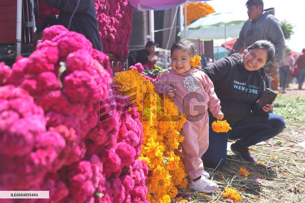 Day of the Dead Market In Mexico City - Mexico