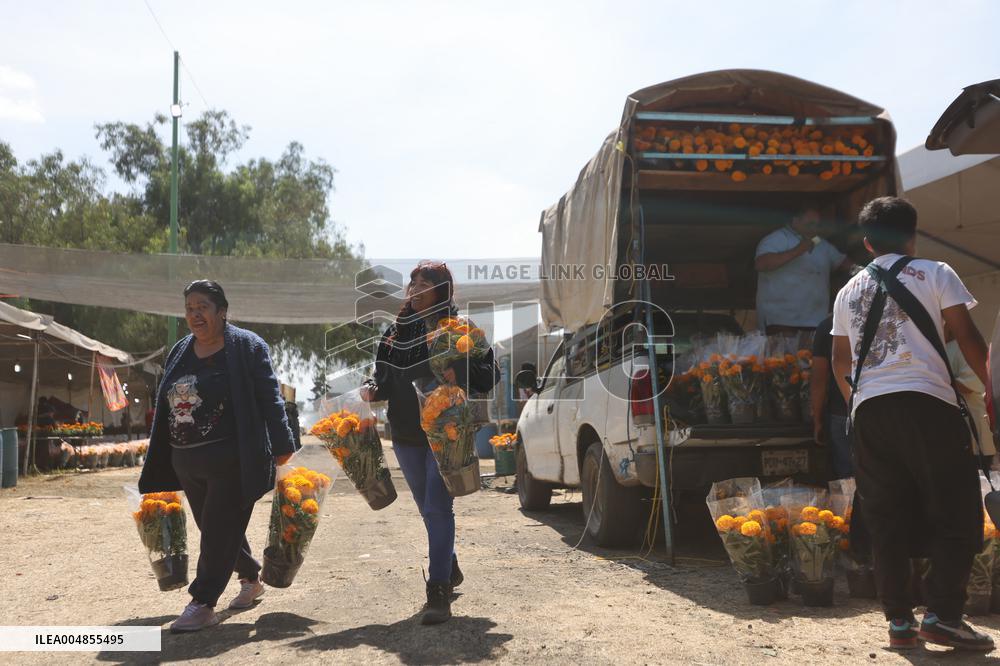 Day of the Dead Market In Mexico City - Mexico