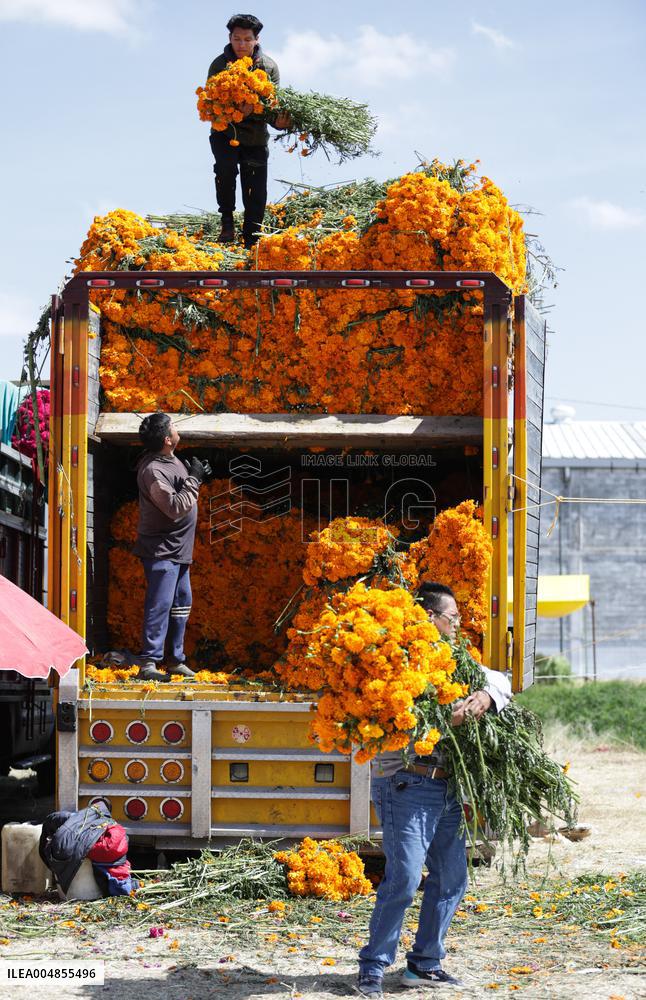 Day of the Dead Market In Mexico City - Mexico