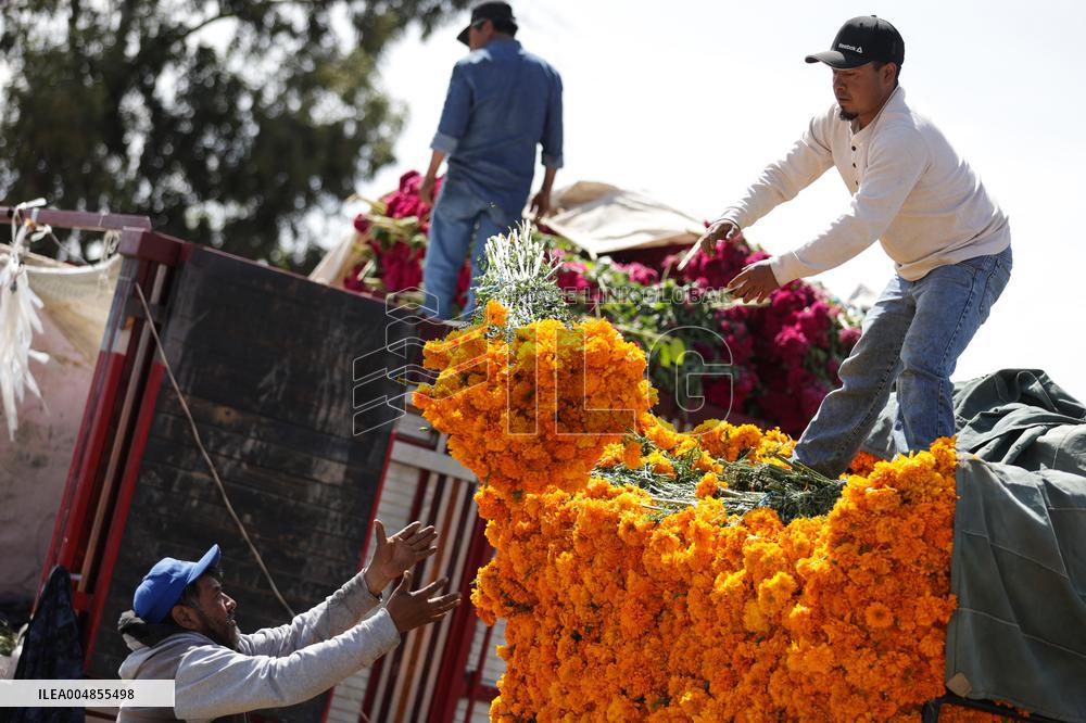 Day of the Dead Market In Mexico City - Mexico