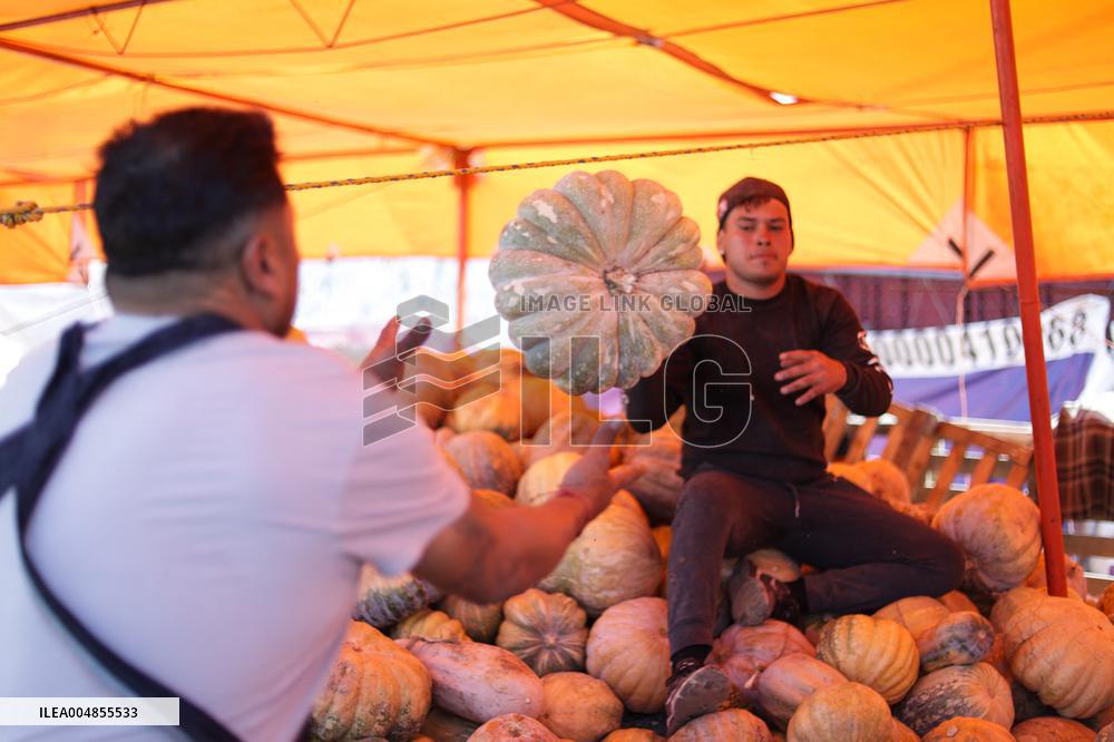 Day of the Dead Market In Mexico City - Mexico