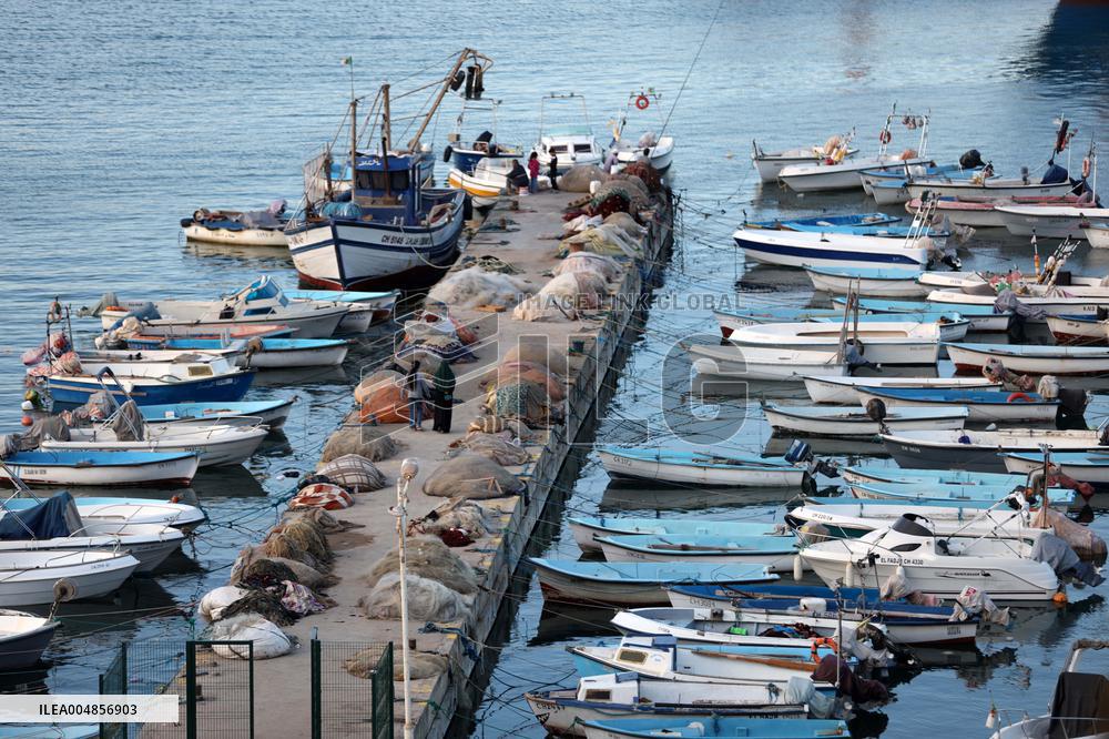 Illustration - Tipaza - Algeria