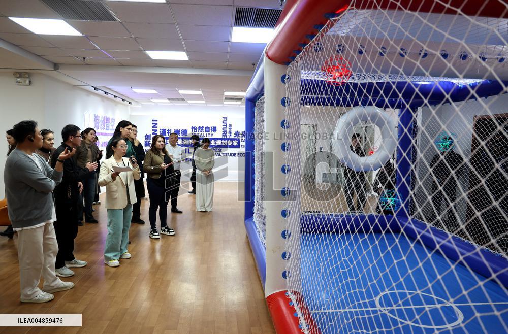 Drone Manufacturing Enterprises in Binzhou