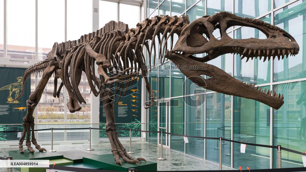 Dinosaur Skeleton Exhibition - Turin